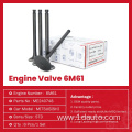 ME240748 Engine Intake Exhaust Valve for MITSUBISHI 6M61